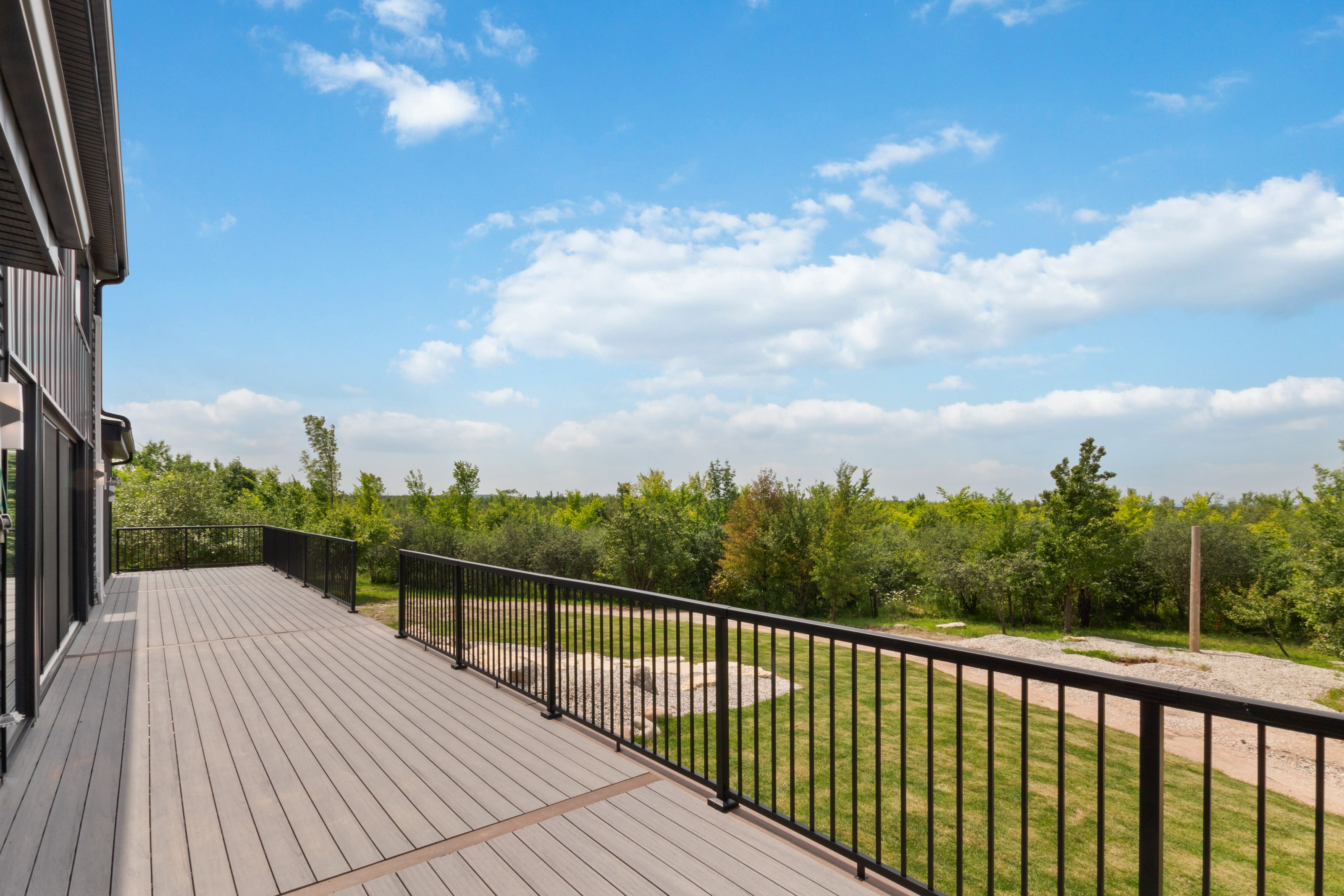 Looking out from the deck across scrub and young trees toward the tree line