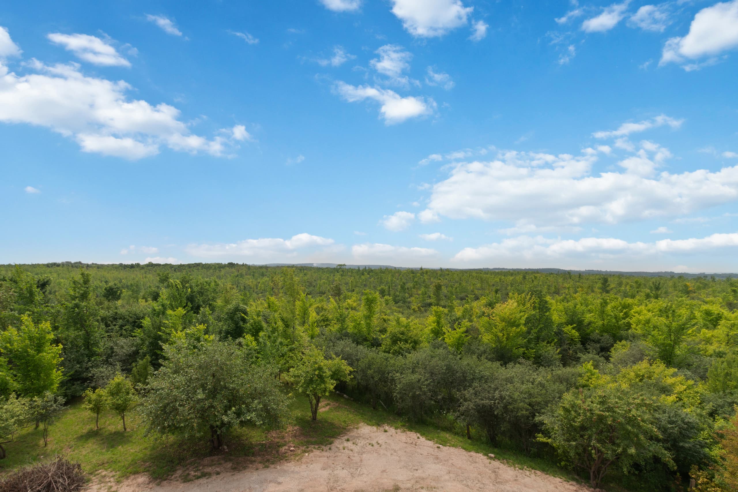 The view from the roofline out across dense tree canopy toward distant high ground
